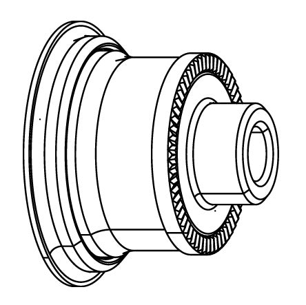 Tapón de eje de rueda trasera ZIPP Cognition Disc Brake Campagnolo #11.2018.048.020