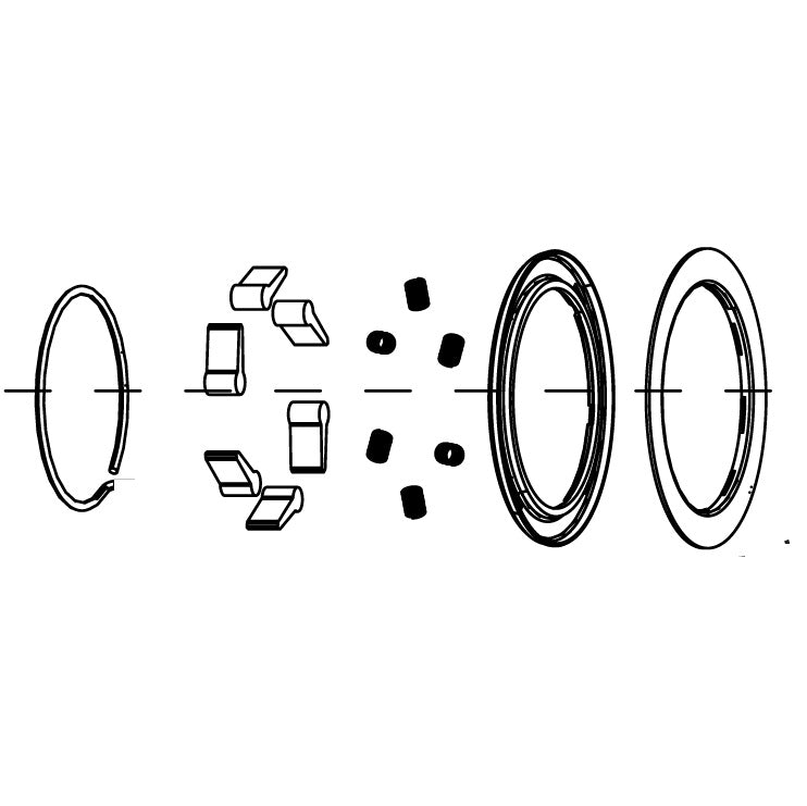 Feder- und Sperrklinkenkit für den Freilauf ZIPP ZR1 #11.2018.070.001