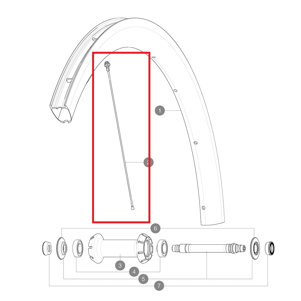 Sæt med 12 eger For/Bag MAVIC COSMIC PRO CARBON 260mm