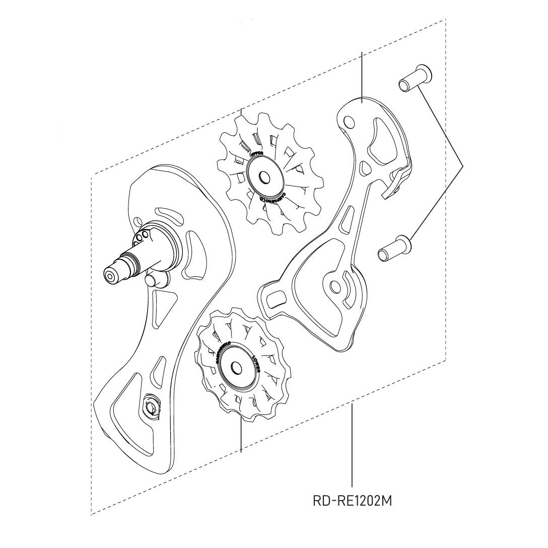 Piastra Completa del Deragliatore Posteriore CAMPAGNOLO CHORUS 12V