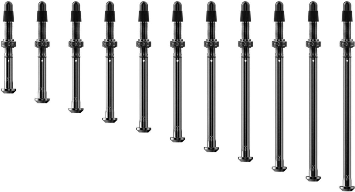 Slangeløse ventiler SRAM QUARQ TyreWiz 2.0
