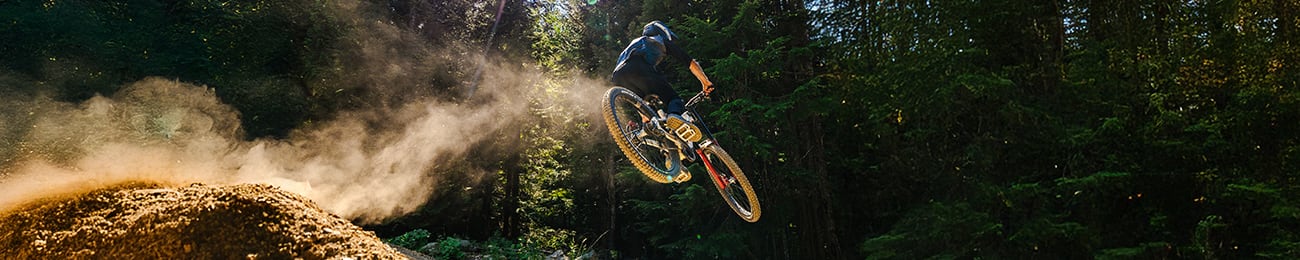 Stock Exit | MTB