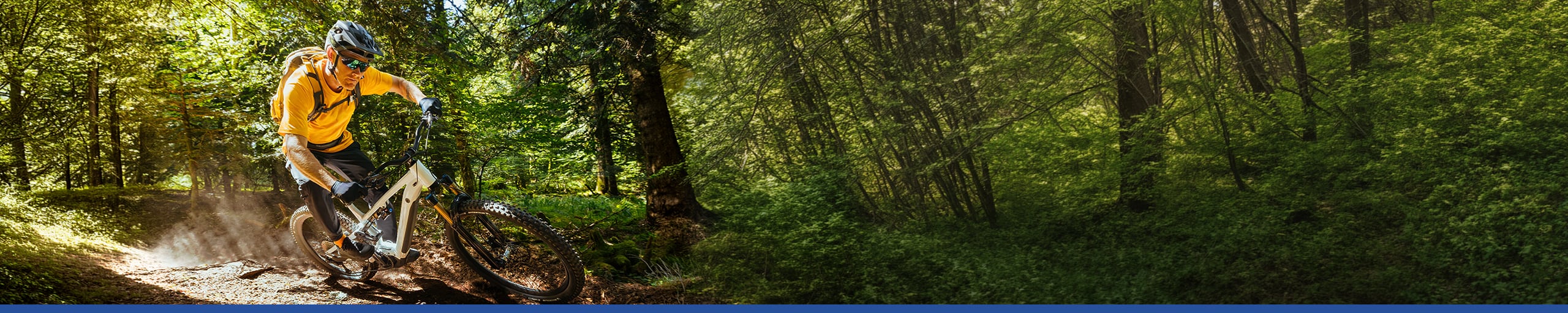 MICHELIN | Pneus VTT