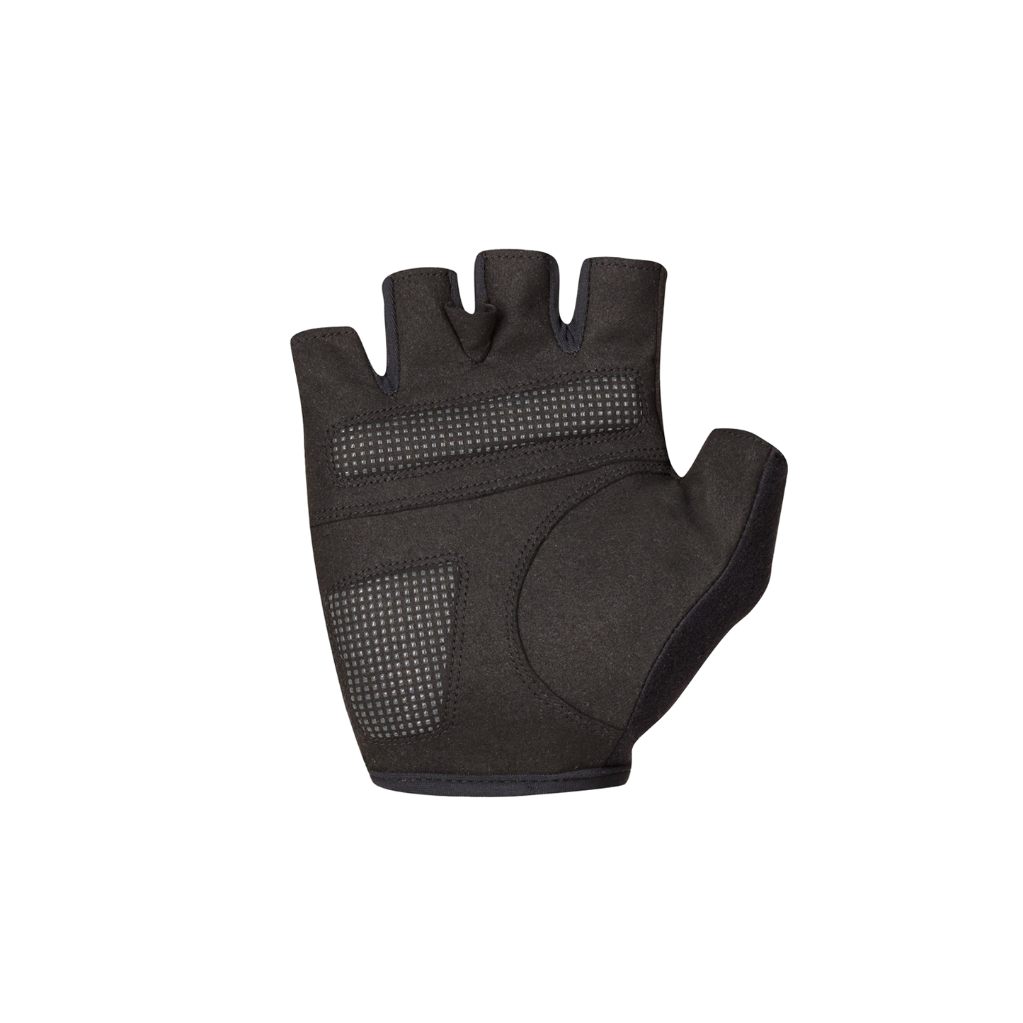 Gants Courts SPORTFUL CLASSIC Vert