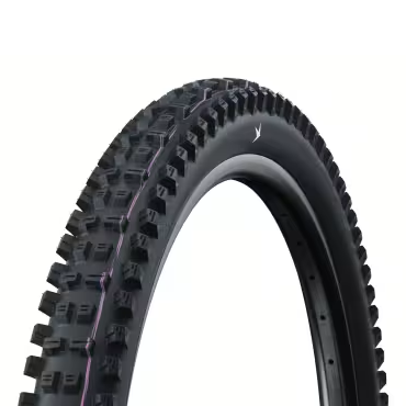 Pneu SCHWALBE TACKY CHAN GRAVITY PRO ULTRA SOFT RADIAL 29x2.50 Tubeless Ready Souple Noir