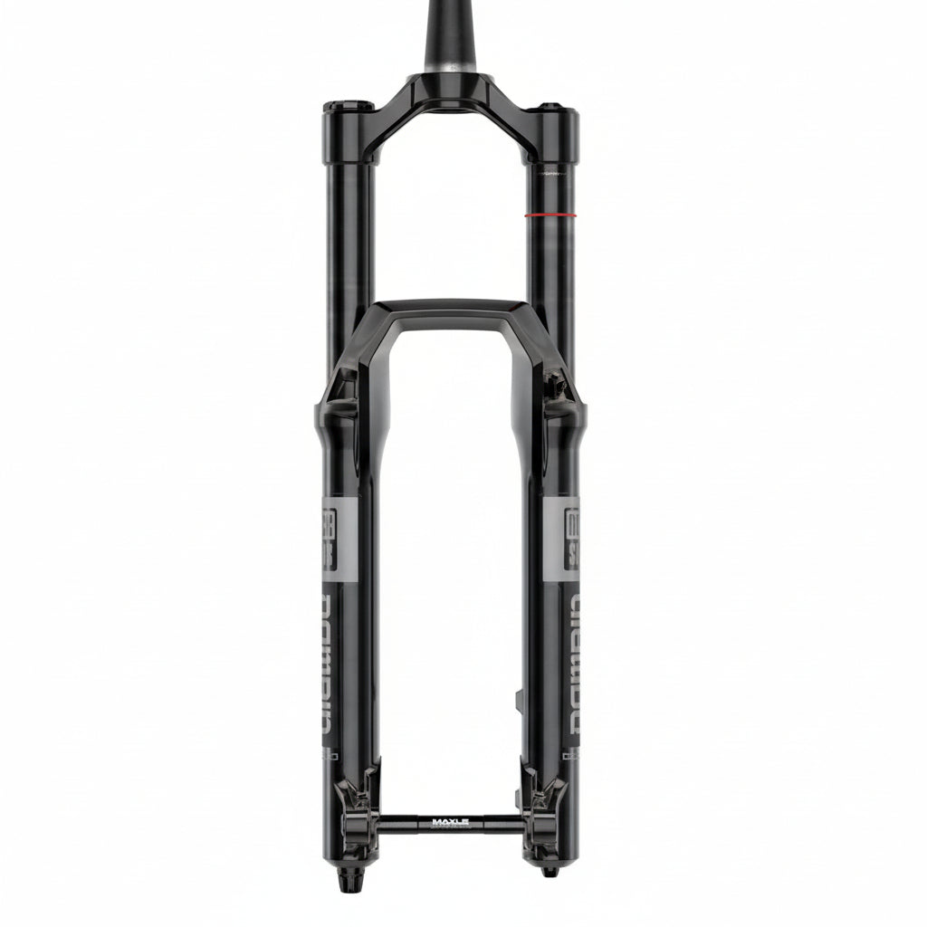 Fourche ROCKSHOX DOMAIN GOLD ISOLATOR RC3 29" Conique Axe 15x110mm Boost Noir