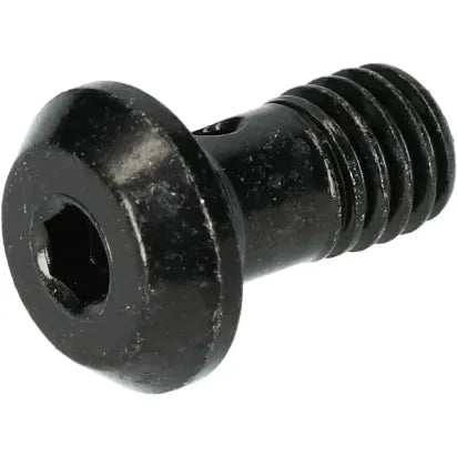 Vis de Purge Banjo SHIMANO BR-M8100/M7100