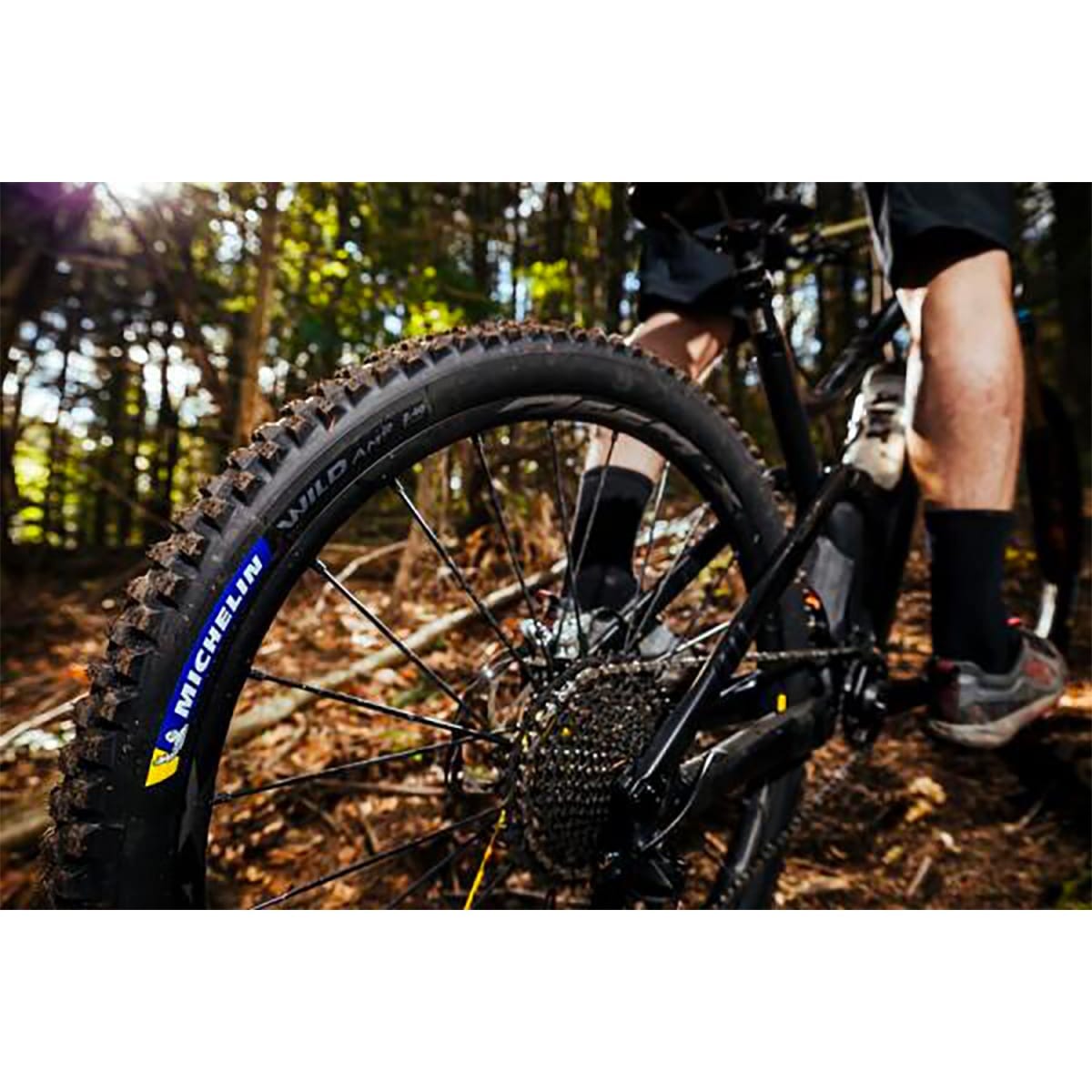 Dæk MICHELIN WILD AM2 Competition Line 29X2.60 Tubeless Ready Souple