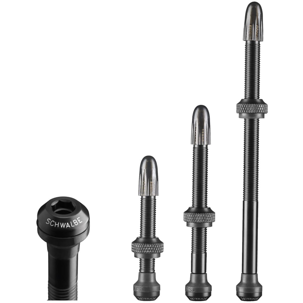 Valves Tubeless SCHWALBE Presta (x2)