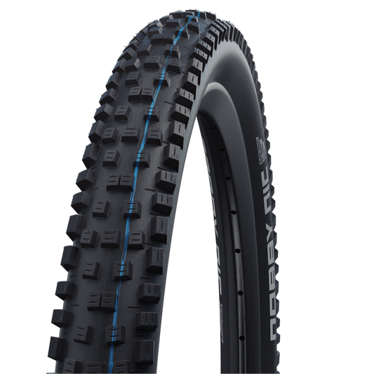 Pneu SCHWALBE NOBBY NIC 29x2.25 ADDIX SPEEDGRIP SUPERGROUND Tubeless Ready Souple Noir