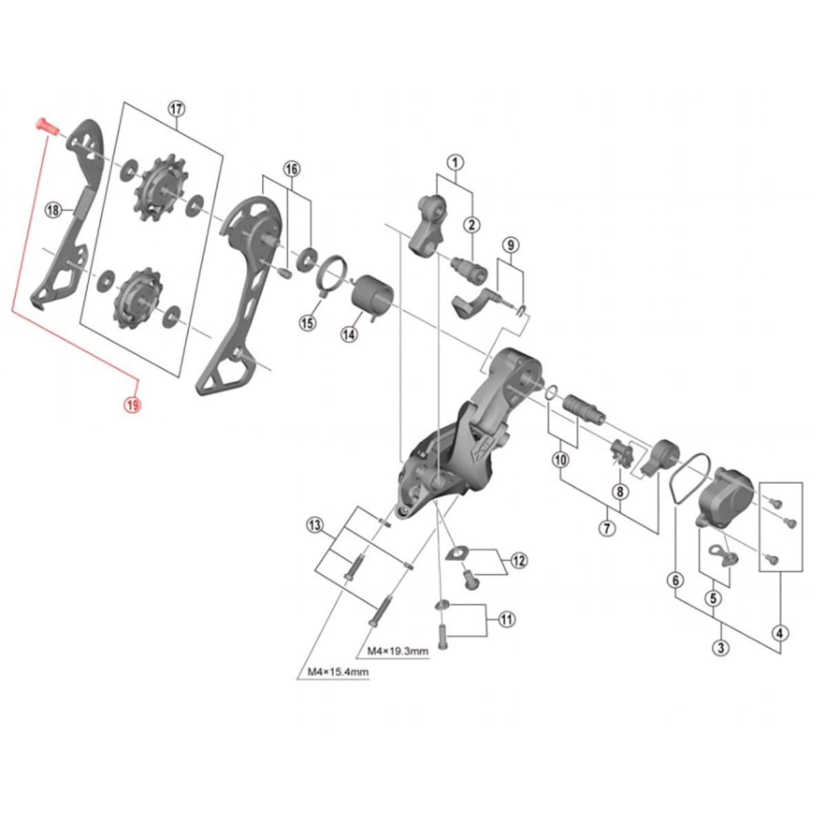 Schroef voor tandwieltjes achterderailleur SHIMANO M5x12,45 mm (x1)