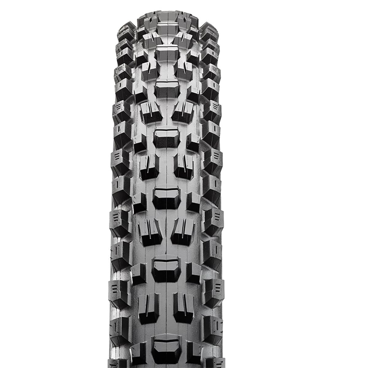 Dæk MAXXIS ASSEGAI 29x2,60 WT Exo Tubeless Ready Foldbar Sort
