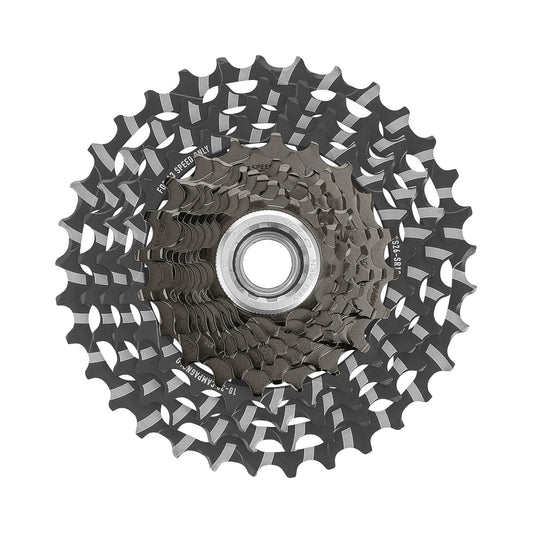 Casetă cu 13 viteze CAMPAGNOLO RECORD – fotografie principală pe fundal alb