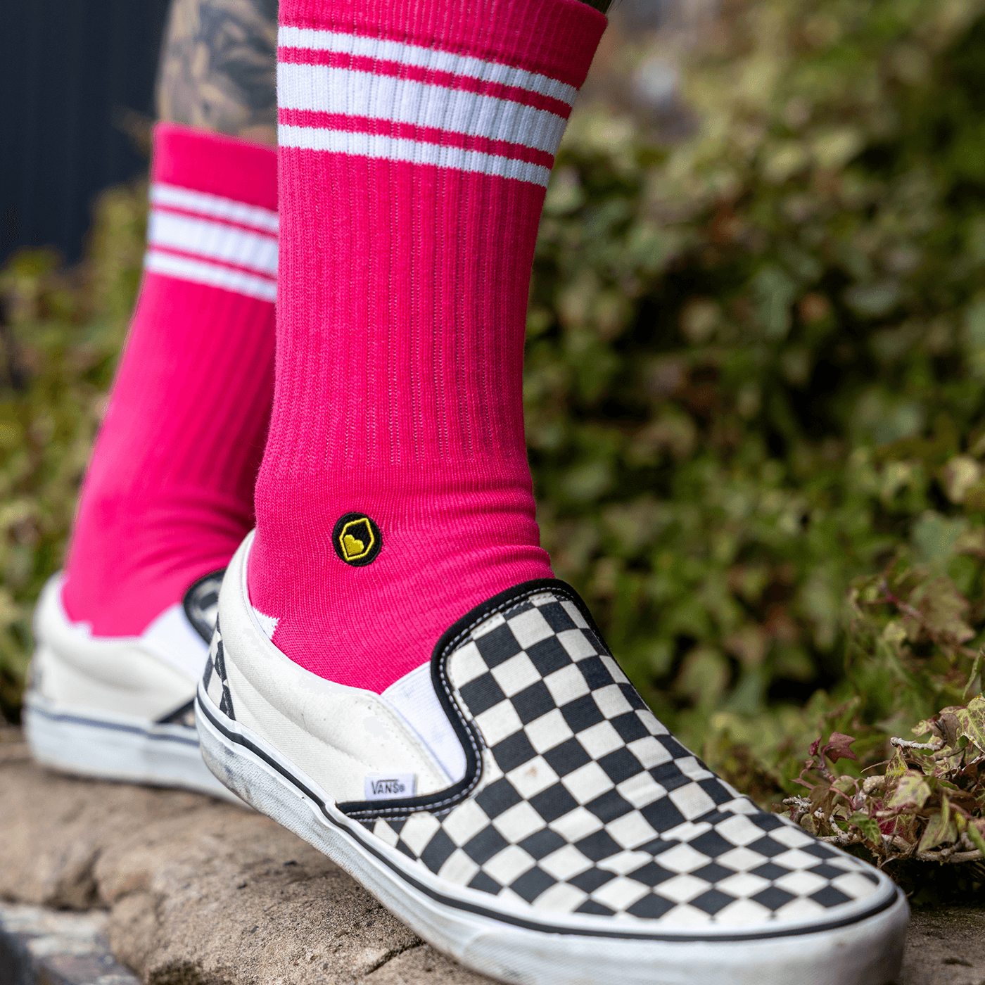 Chaussettes BURGTEC EVERYDAY CREW Rose