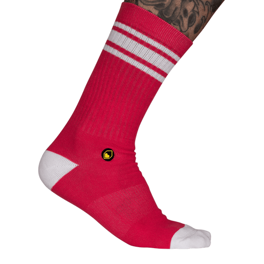 Chaussettes BURGTEC EVERYDAY CREW Rose