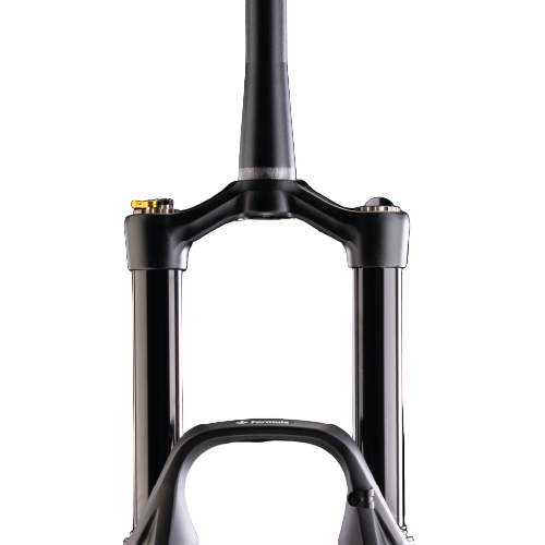 Fourche FORMULA SELVA S 29" Axe 15x110mm Boost Noir