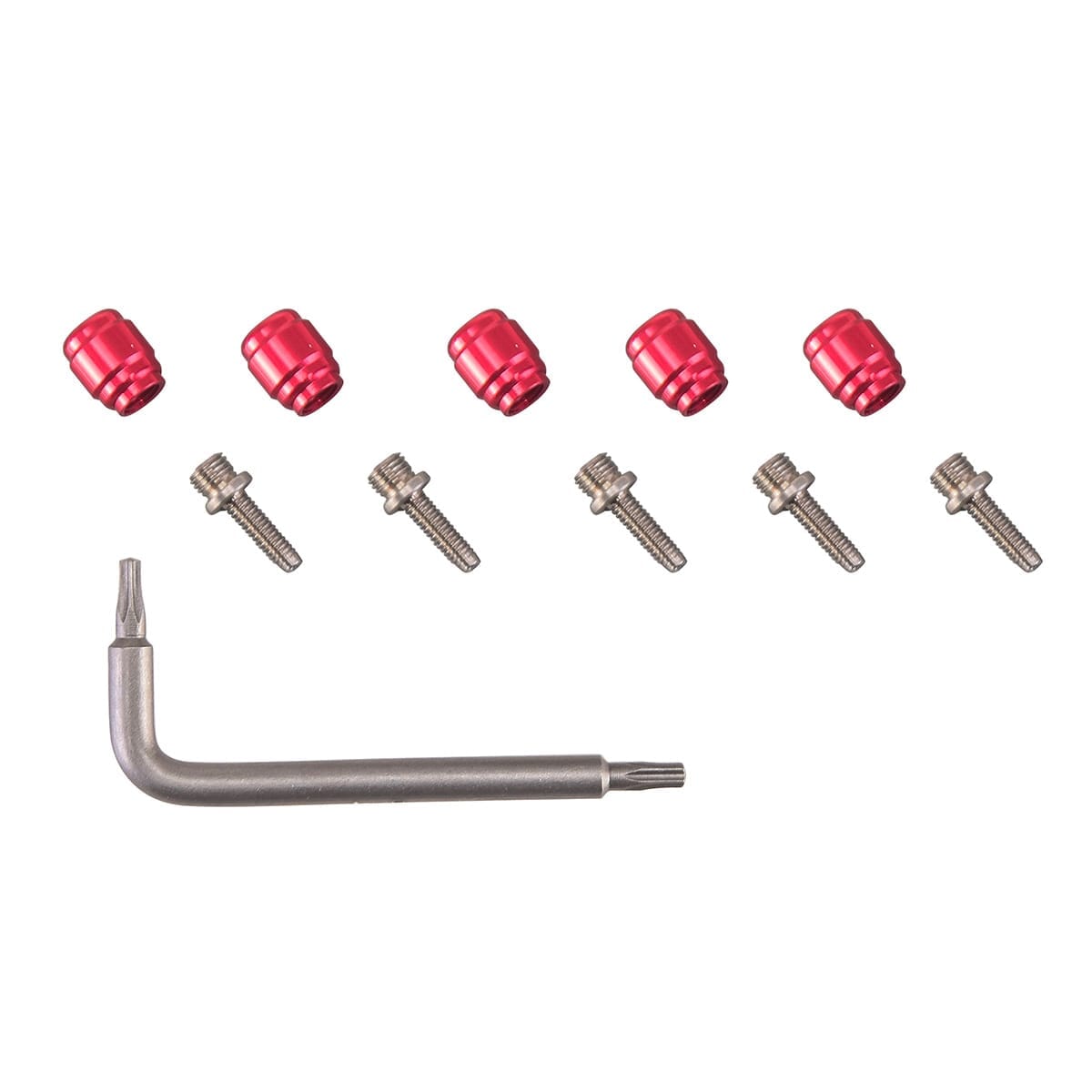 Oliven + Einsätze SRAM AVID für Bremsen SRAM/AVID (x5)