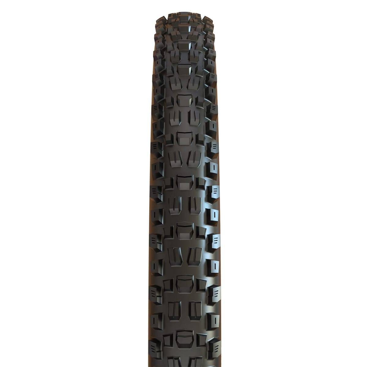 Pneu MAXXIS ASSEGAI 29x2.50 WT BikePark DH Tubeless Ready Rígido Preto