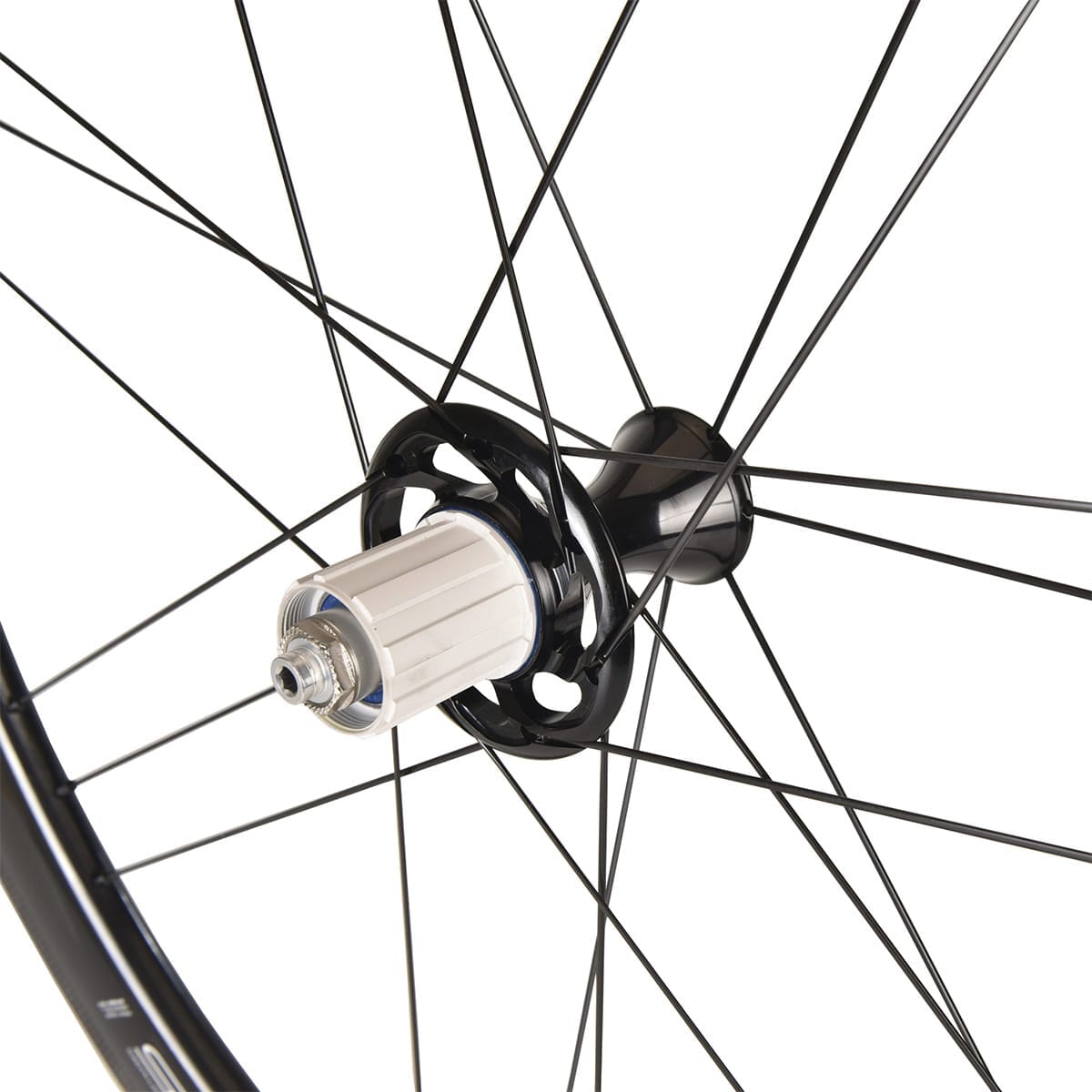 Par de Ruedas CAMPAGNOLO BORA WTO 45 para Neumáticos