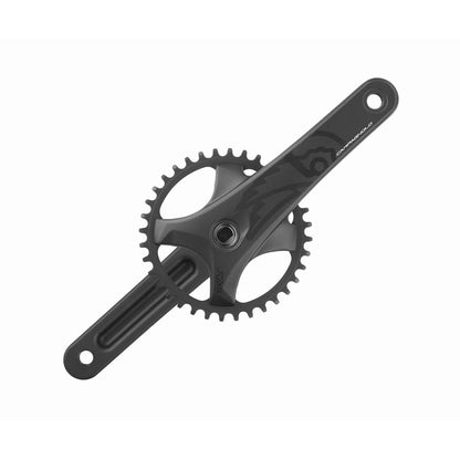 Τριβέλα 13V CAMPAGNOLO EKAR GT