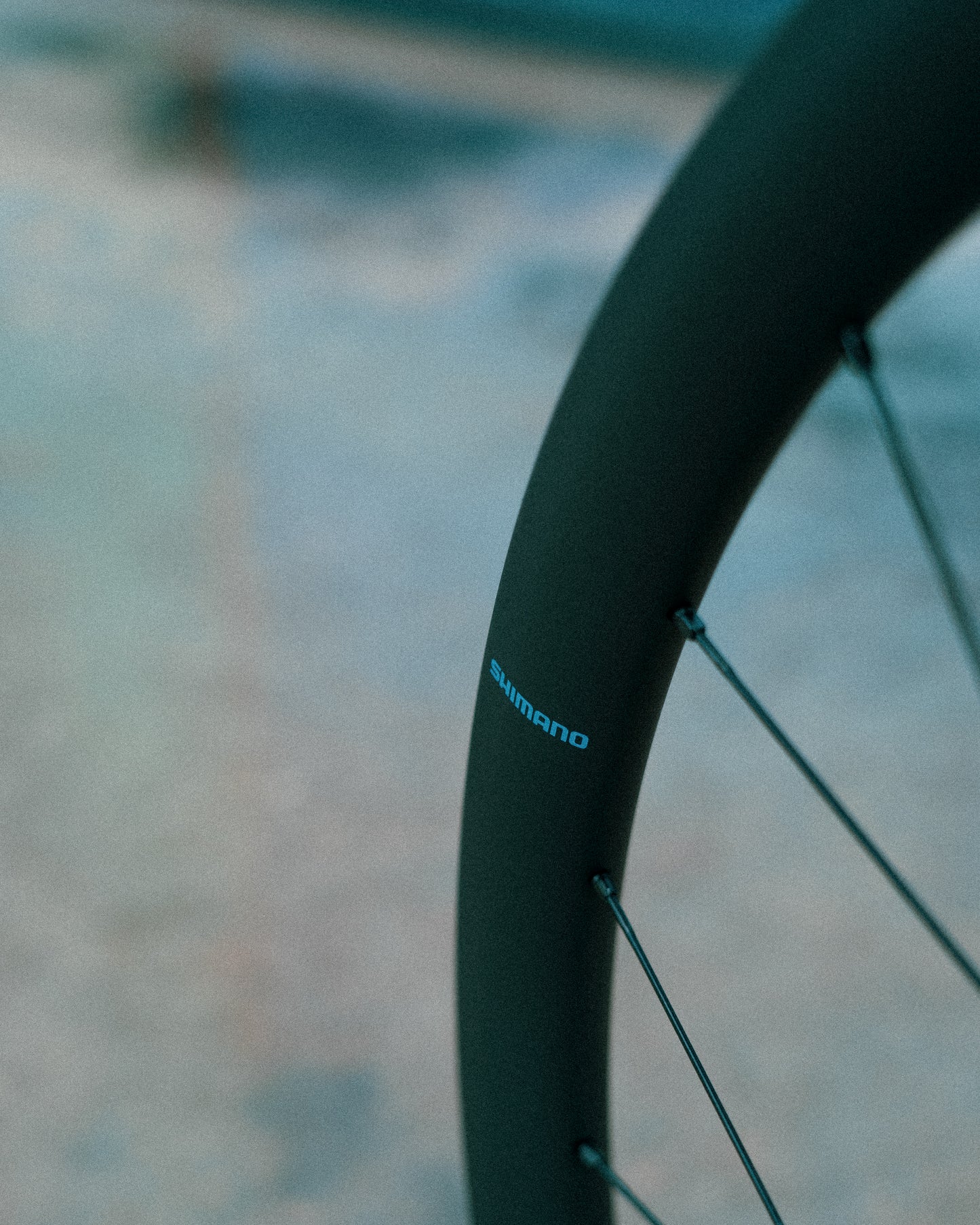 Forhjul SHIMANO GRX WH-RX880 700c Tubeless Ready (Center Lock)