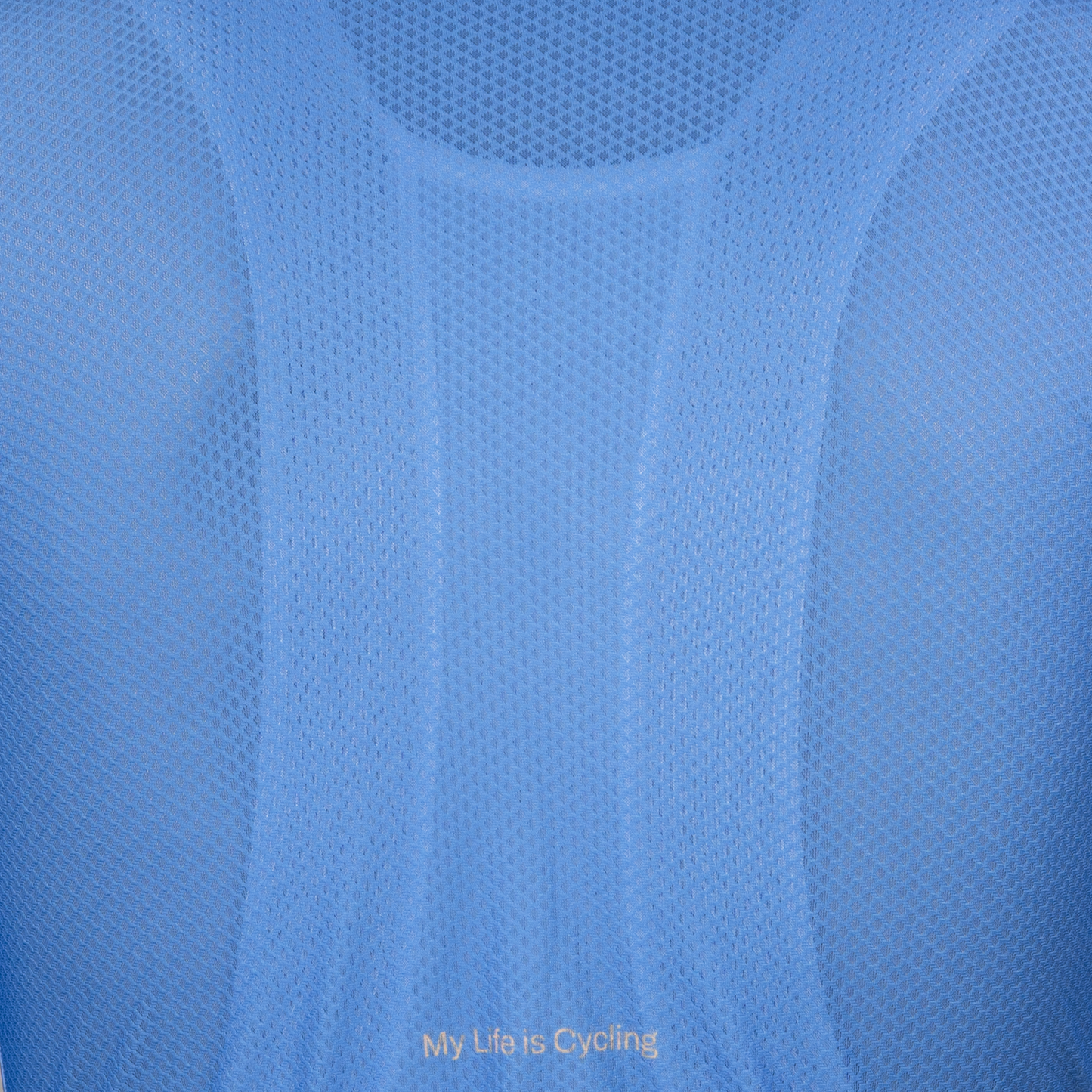 Maillot PROBIKESHOP By CHEF DE FILE Manches Courtes Bleu/Lilas