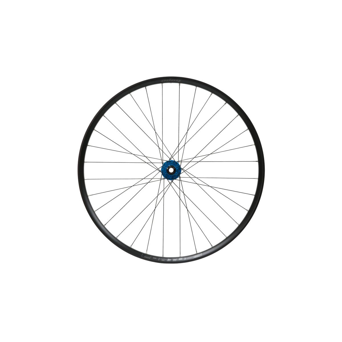 HOPE Fortus 30 W SC 29-inch front wheel, blue Pro 5 hub