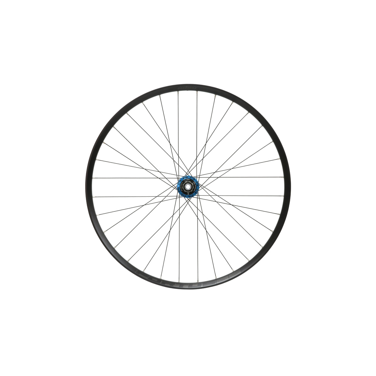 HOPE Fortus 35 W achterwiel van 29 inch, blauwe Pro 5-naaf