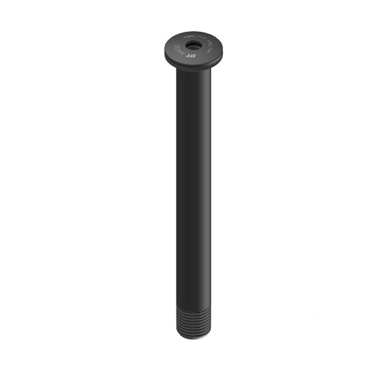 DT SWISS RWS Plug In 15x100 mm priekinio rato tvirtinimo ašis, tik strypas