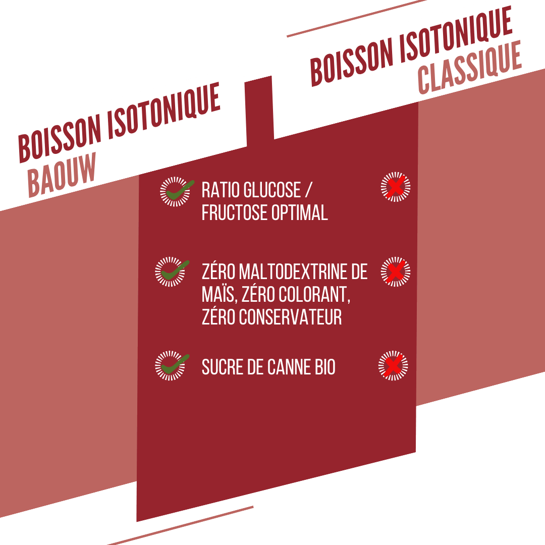 Boisson Énergétique BAOUW ISOTONIC (45g) Pastèque/Grenade