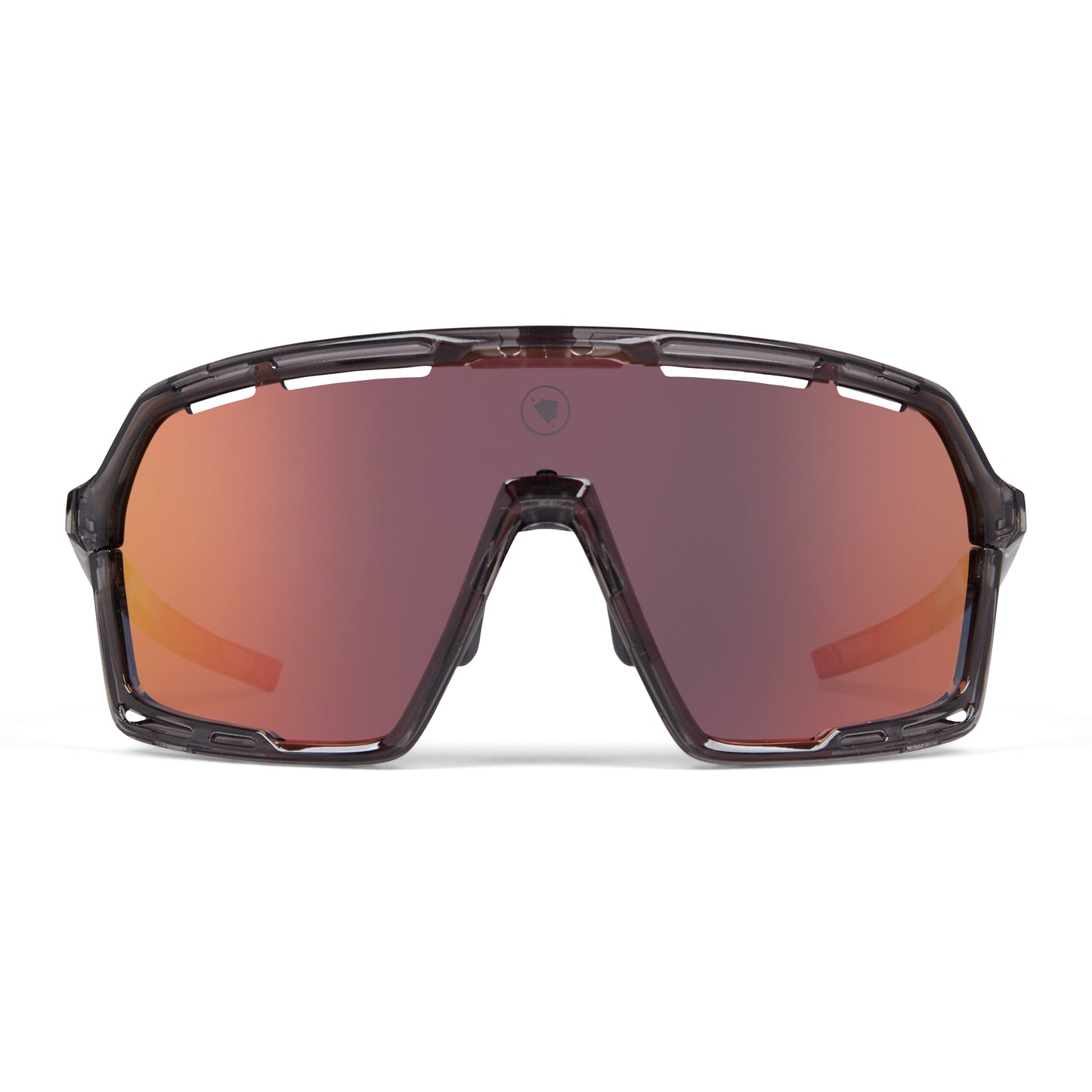 Lunettes ENDURA PRO SL Gris