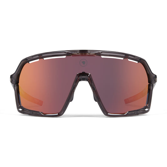 Lunettes ENDURA PRO SL Gris