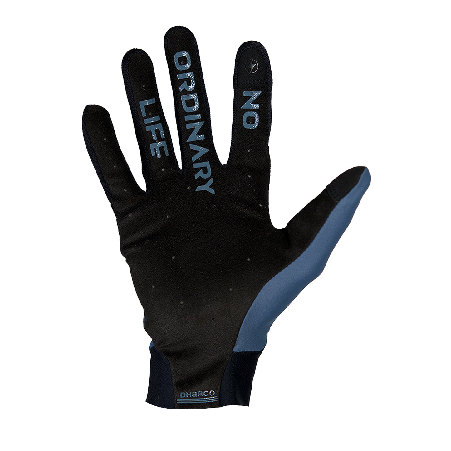 Handschoenen DHARCO TRAIL Blauw