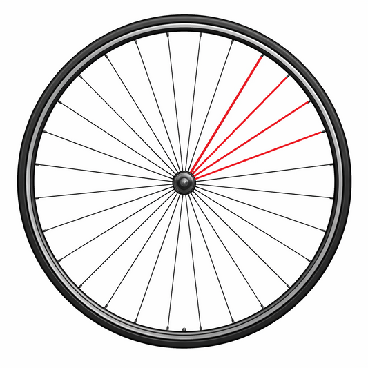 Kit de 4 Rayons CAMPAGNOLO ZONDA à Pneus 2017 Arrière Droit