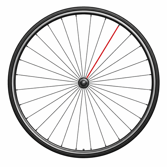 Rayon CAMPAGNOLO SHAMAL ULTRA Avant 2010-2016 et Arrière Droit 2012-2016 279.2mm (x1)