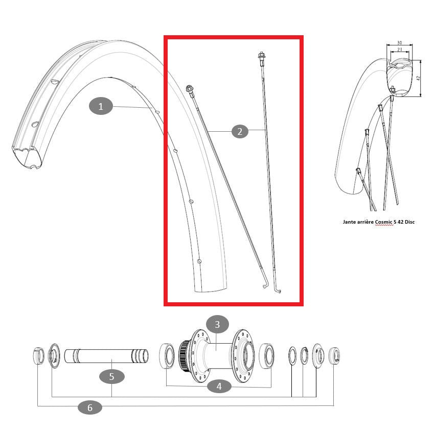 Kit 12 Speichen Vd/Hd MAVIC COSMIC S42 273mm