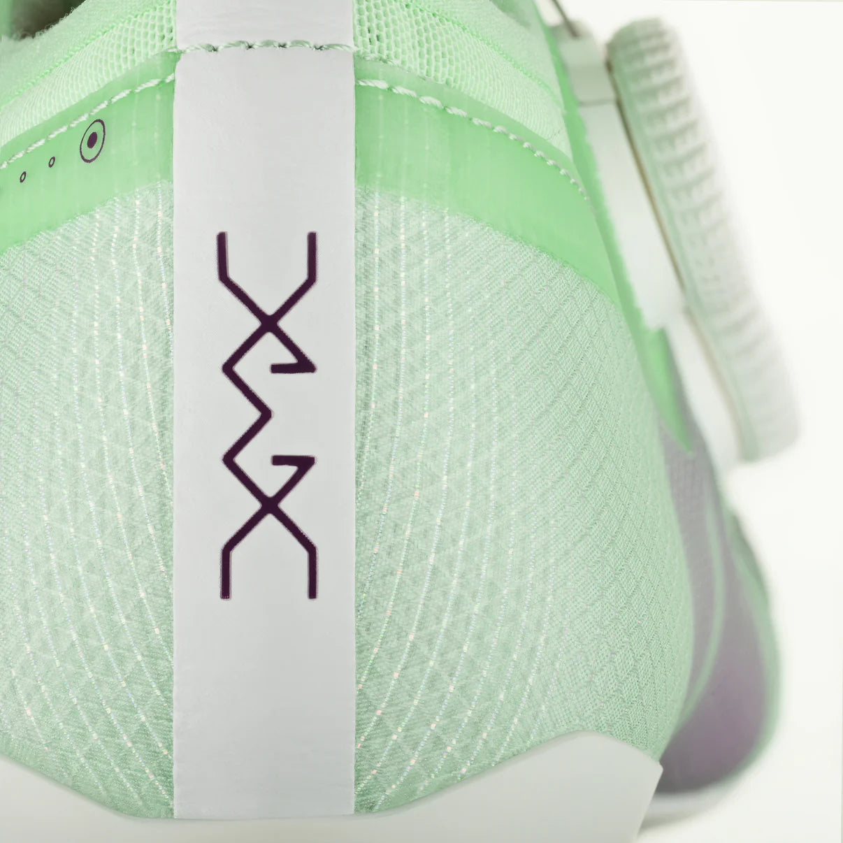 Straßenschuhe FIZIK VEGA CARBON Grün/Lila
