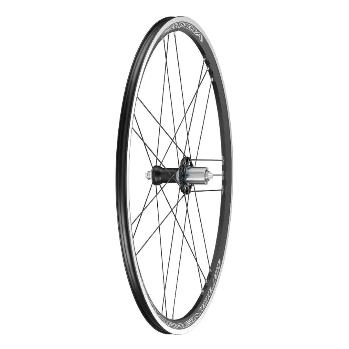 Roue Arrière CAMPAGNOLO ZONDA