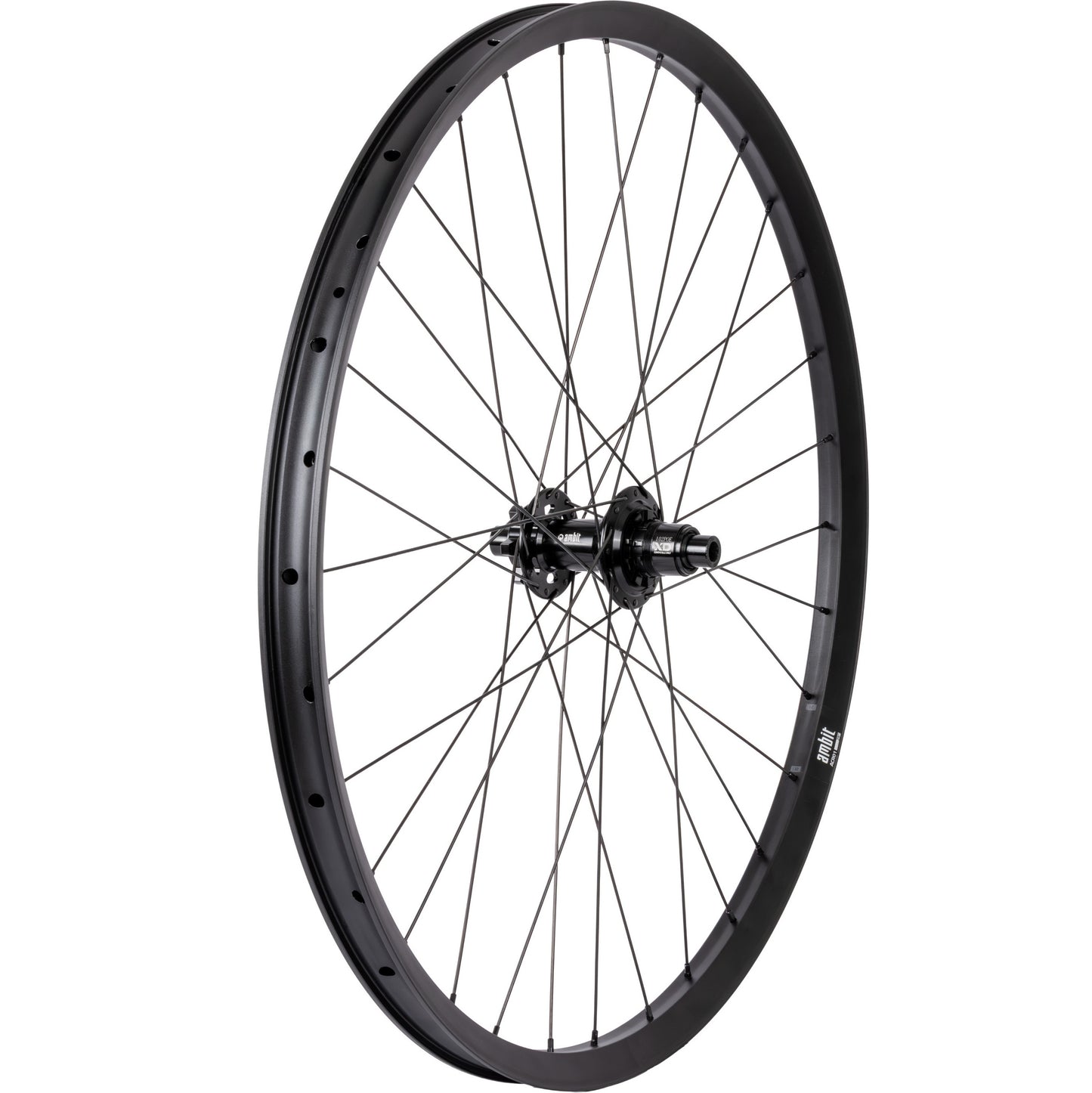 Roue Arrière AMBIT REALM 29" 12x148mm Boost POE 102