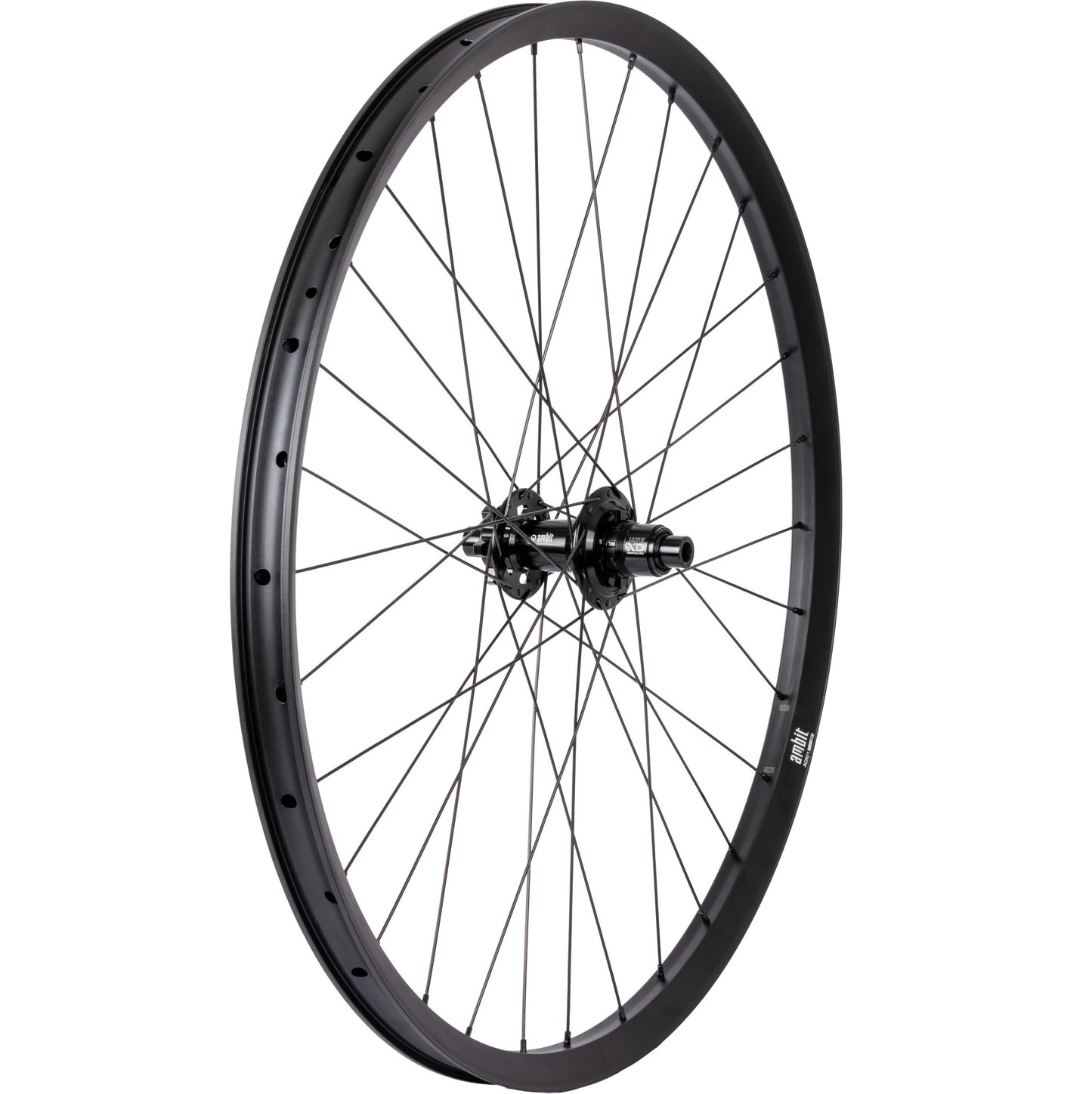Roue Arrière AMBIT REALM 29" 12x148mm Boost POE 612