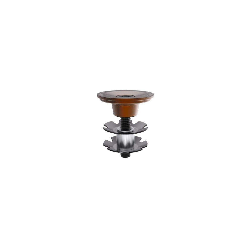 TITLE topcap bronze