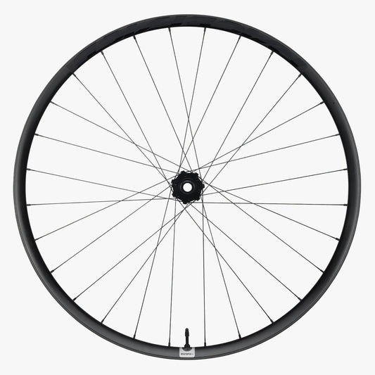Rueda Delantera RACE FACE ERA SL Carbono 29" Eje 15x110 mm Boost