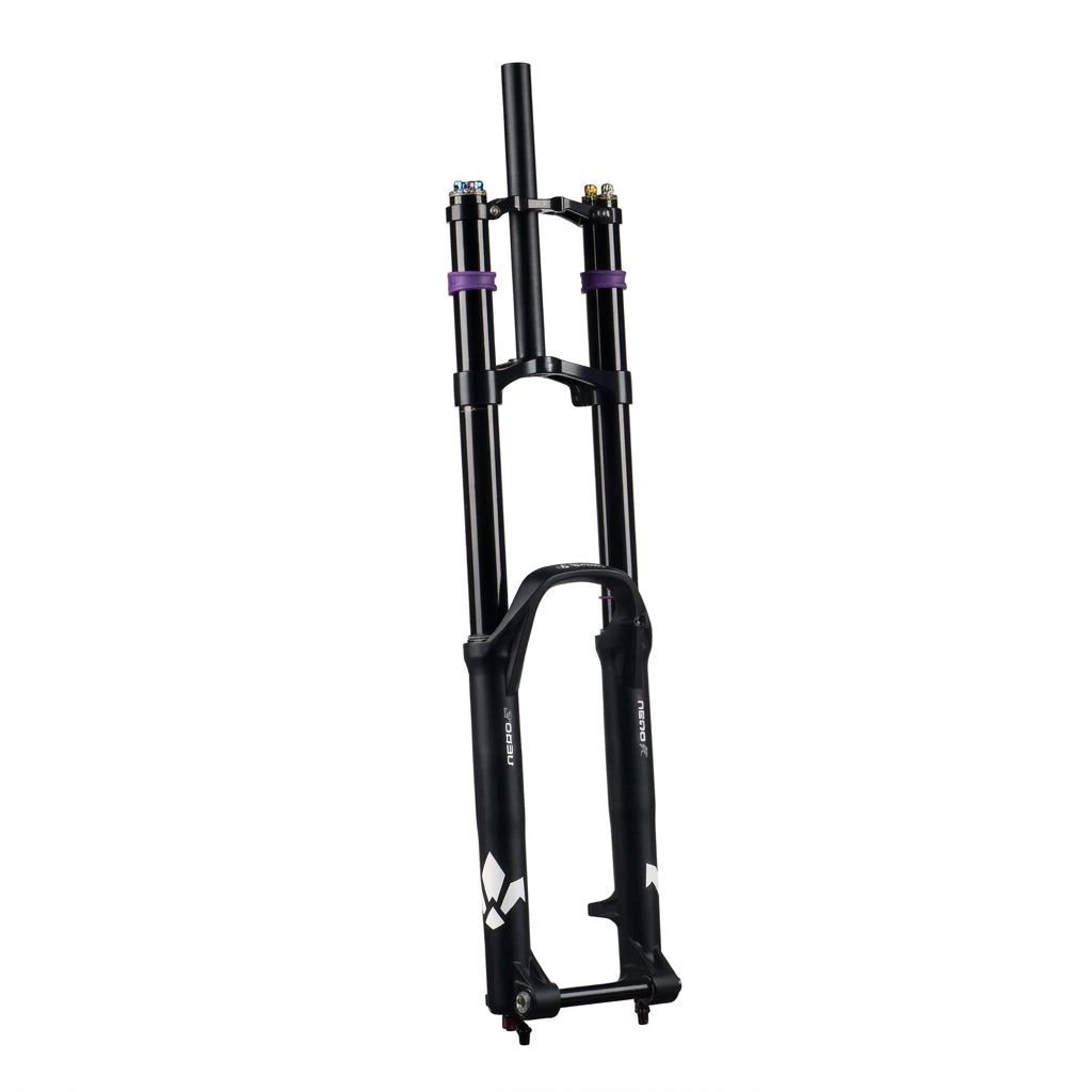FORMULA NERO R forgaffel 29" 20x110 mm Boost-aksel, sort