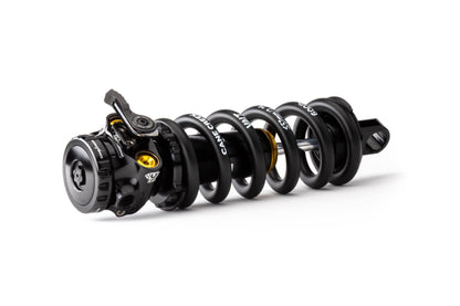 Ammortizzatore CANE CREEK Coil IL Trunnion