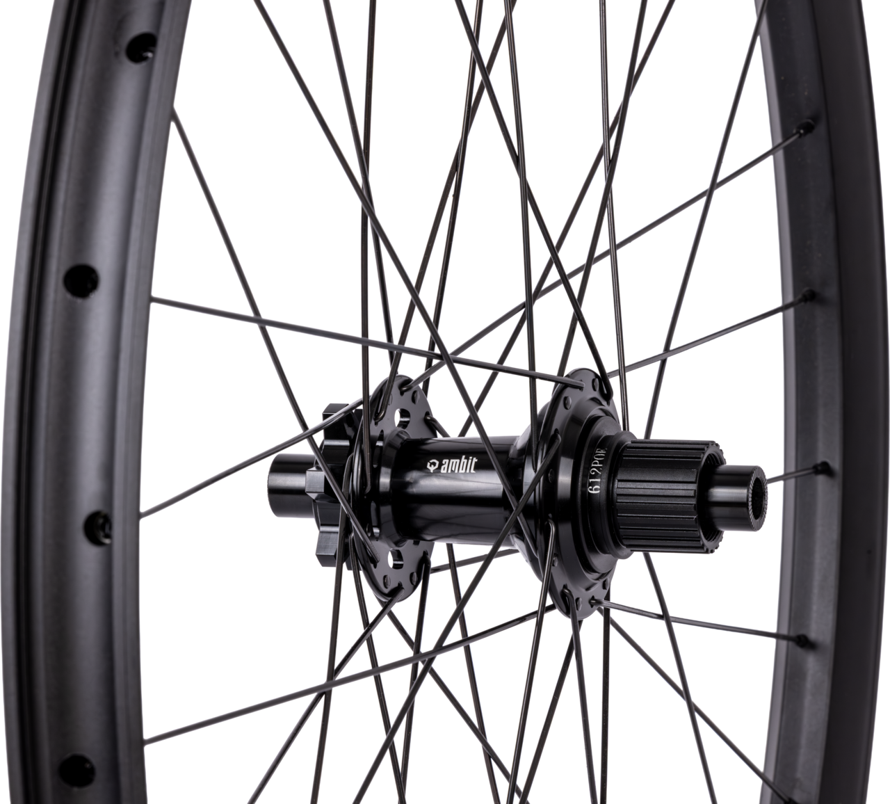 Roue Arrière AMBIT REALM 29" 12x148mm Boost POE 612