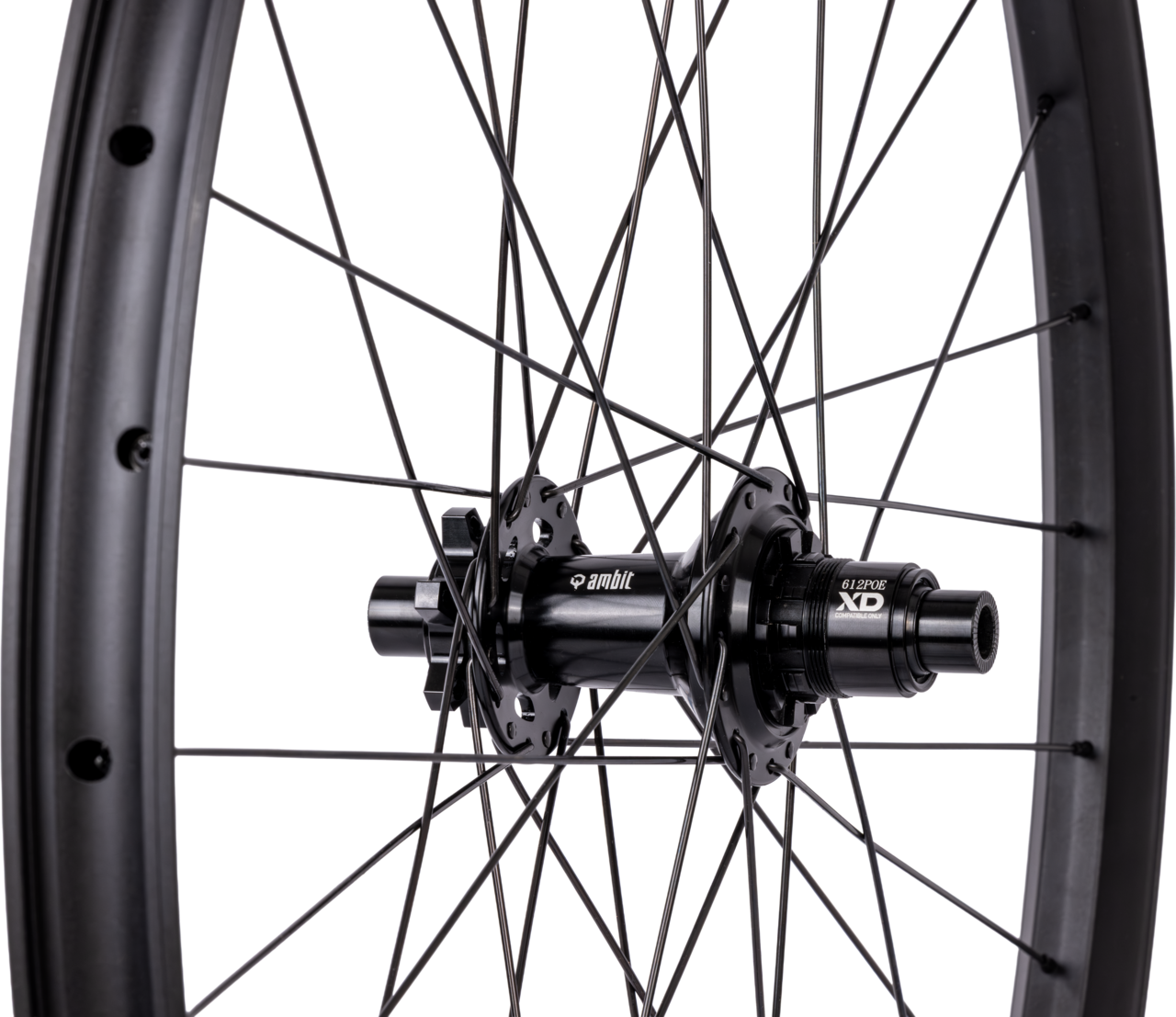 Roue Arrière AMBIT REALM 29" 12x148mm Boost POE 612
