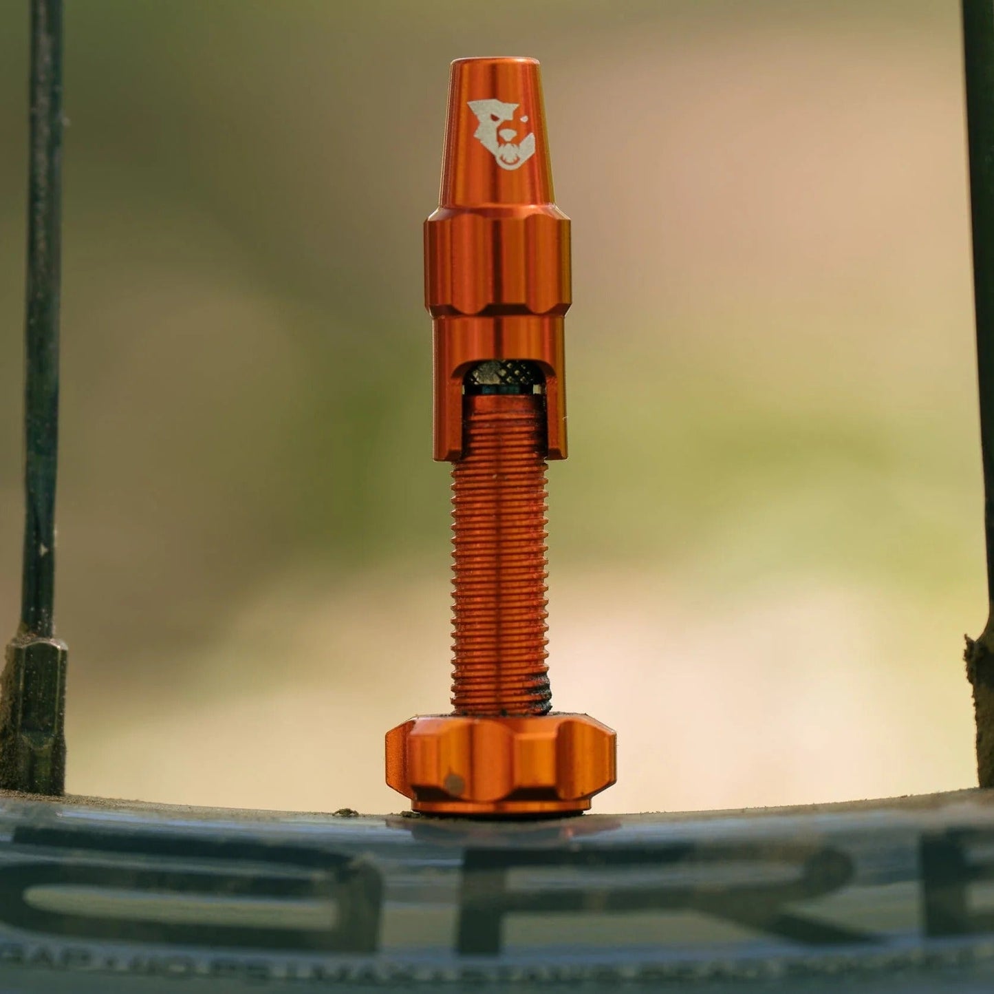 2er-Set Tubeless-Ventile WOLF TOOTH CLIK VALVE Orange