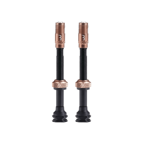 Valves BBB CORE CAP Bronze (x2)
