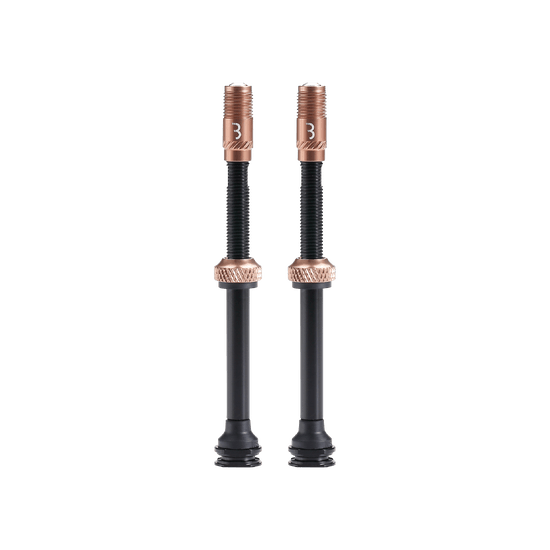 Valves BBB CORE CAP Bronze (x2)