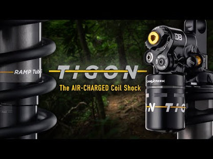 Ammortizzatore CANE CREEK TIGON Air/Coil Trunnion